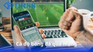 ca-do-bong-da-qua-mang
