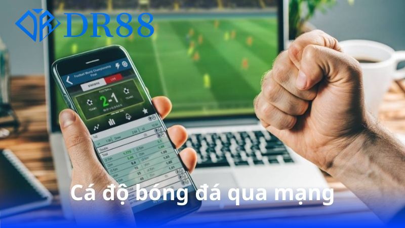 Giải Mã Giấc Mơ Thấy Rắn Cùng Nền Tảng Dr88 1 ca-do-bong-da-qua-mang