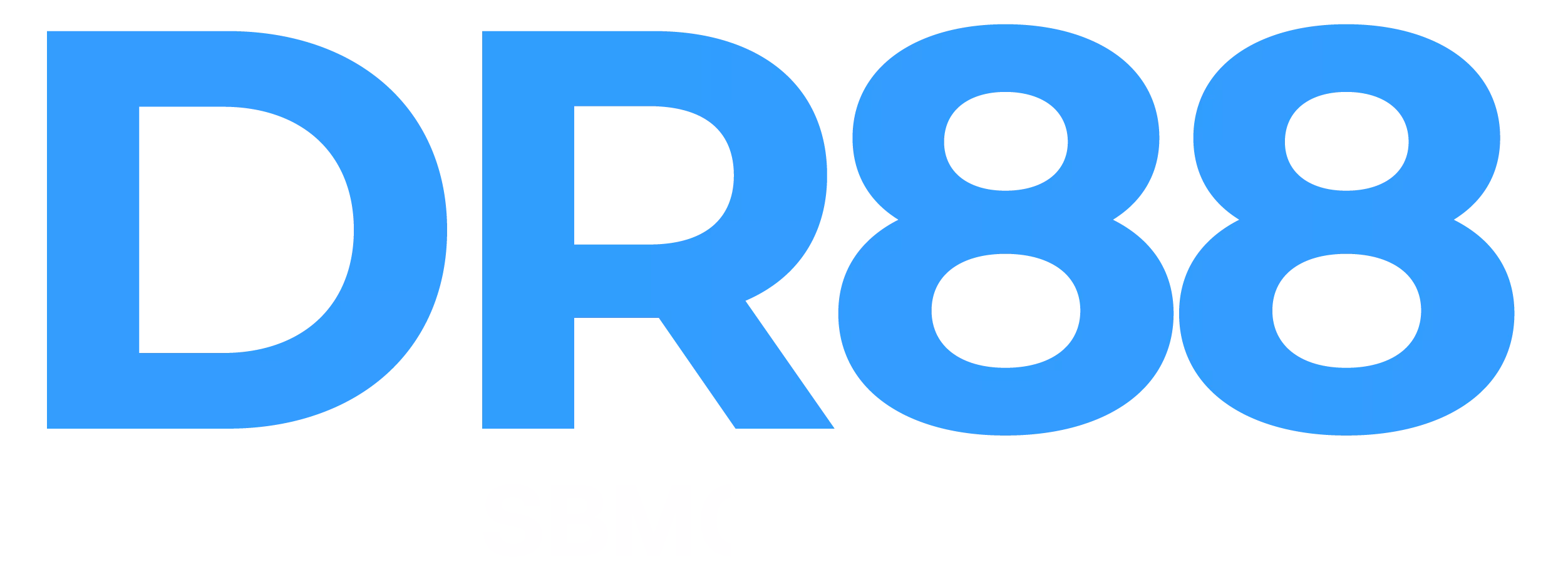 DR88 Logo